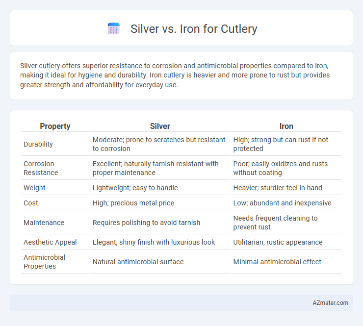 Silver vs. Iron for Cutlery - What is The Difference?