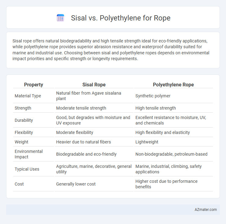 Sisal vs. Polyethylene for Rope - What is The Difference?