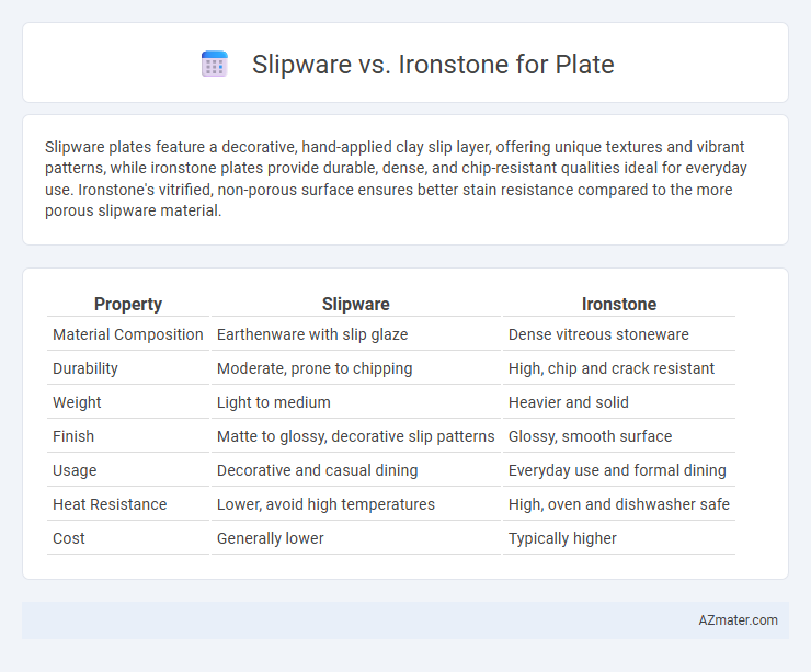Slipware vs. Ironstone for Plate - What is The Difference?
