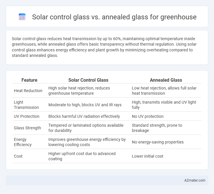 Solar control glass vs. annealed glass for greenhouse - What is The Difference?