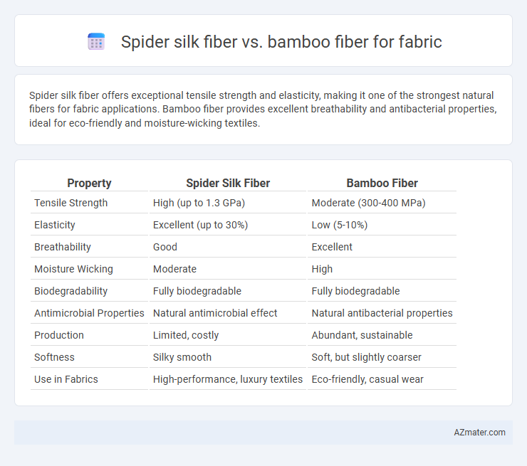 Spider silk fiber vs. bamboo fiber for fabric - What is The Difference?