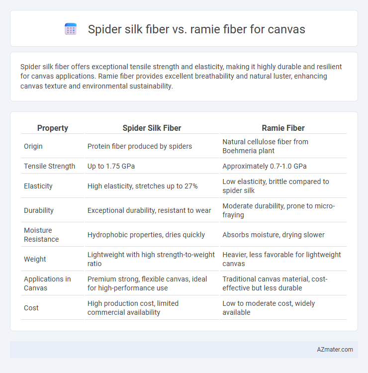 Spider silk fiber vs. ramie fiber for canvas - What is The Difference?