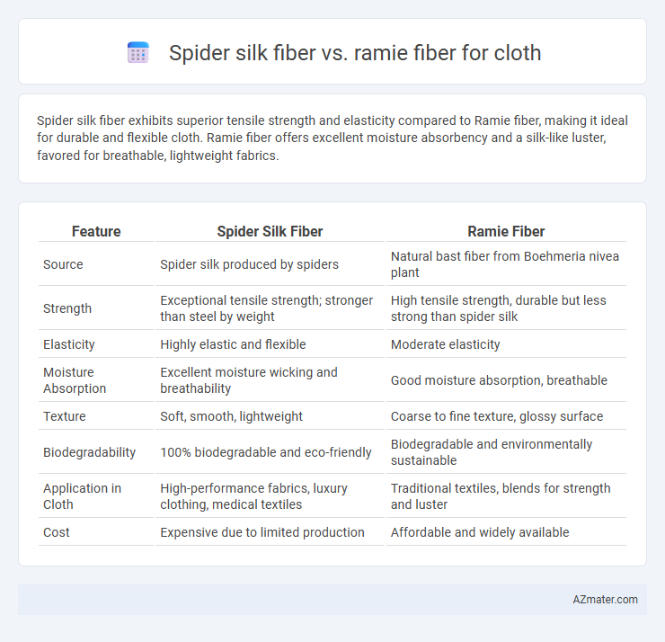 Spider silk fiber vs. ramie fiber for cloth - What is The Difference?