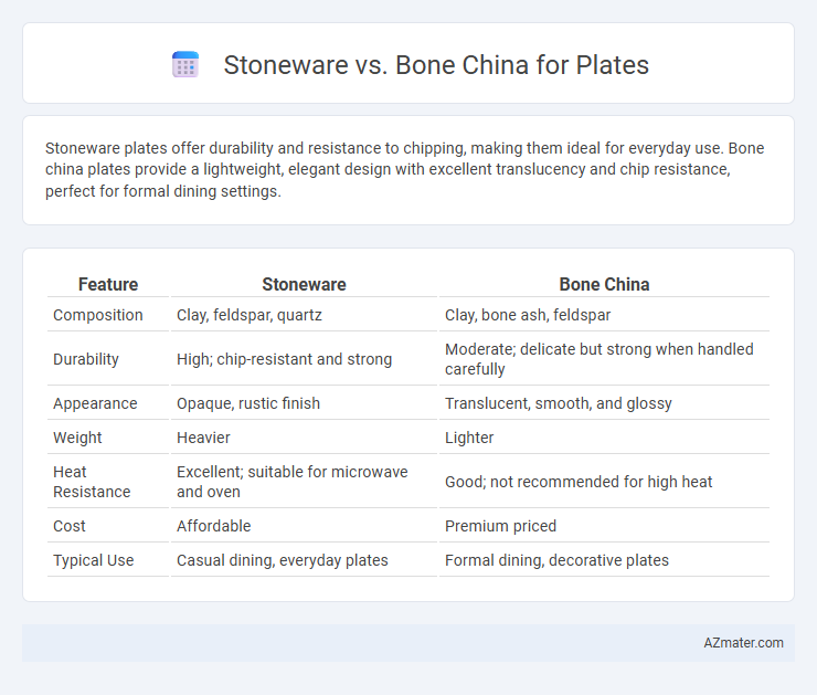 Stoneware vs. Bone China for Plates - What is The Difference?