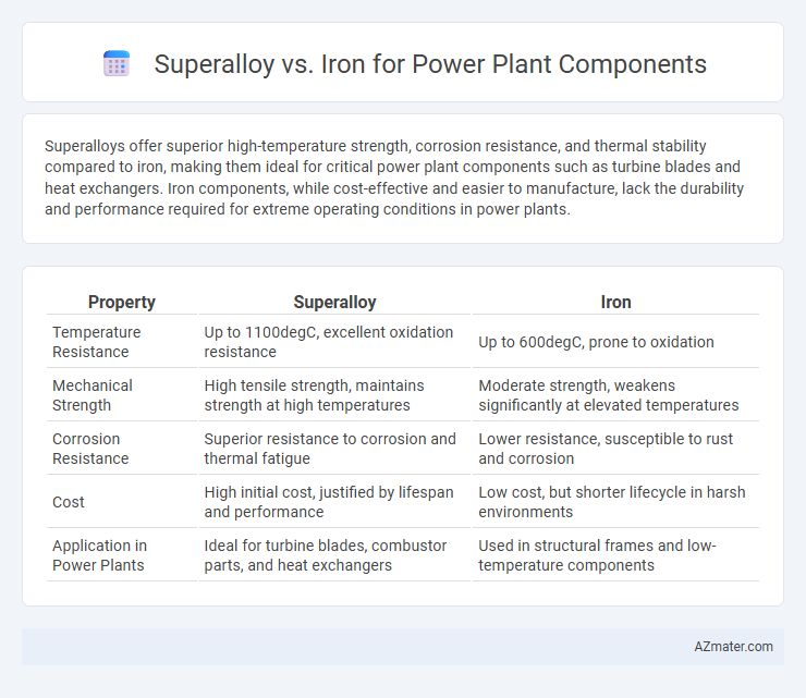 Superalloy vs. Iron for Power Plant Components - What is The Difference?