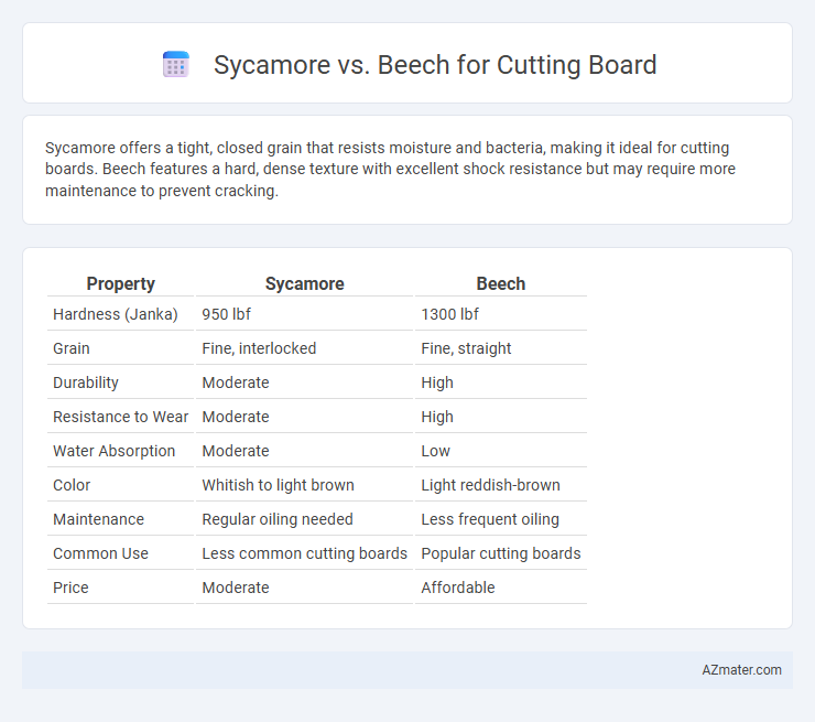 Sycamore vs. Beech for Cutting Board - What is The Difference?