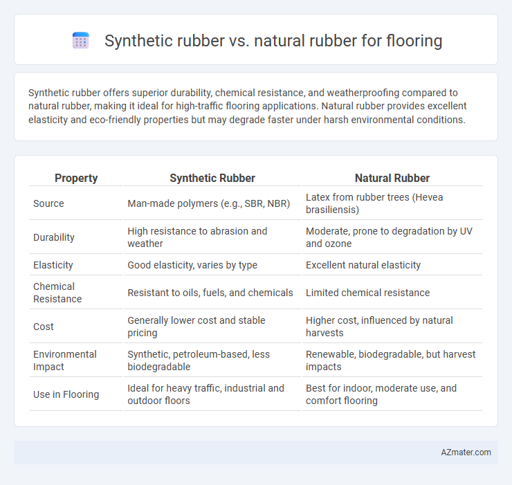 Synthetic rubber vs. natural rubber for flooring - What is The Difference?