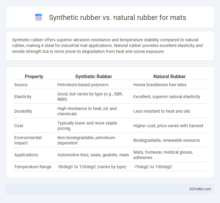 Synthetic rubber vs. natural rubber for mats - What is The Difference?