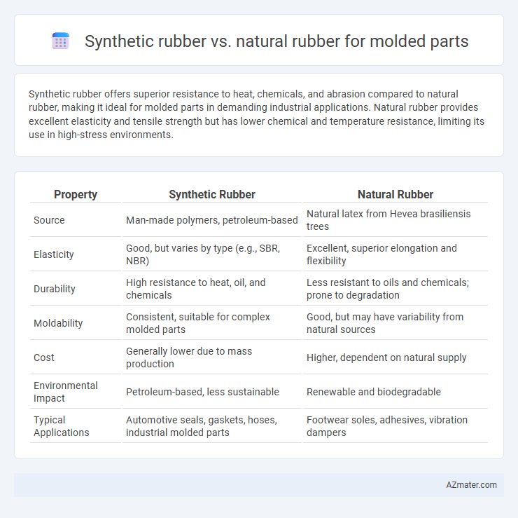 Synthetic rubber vs. natural rubber for molded parts - What is The Difference?