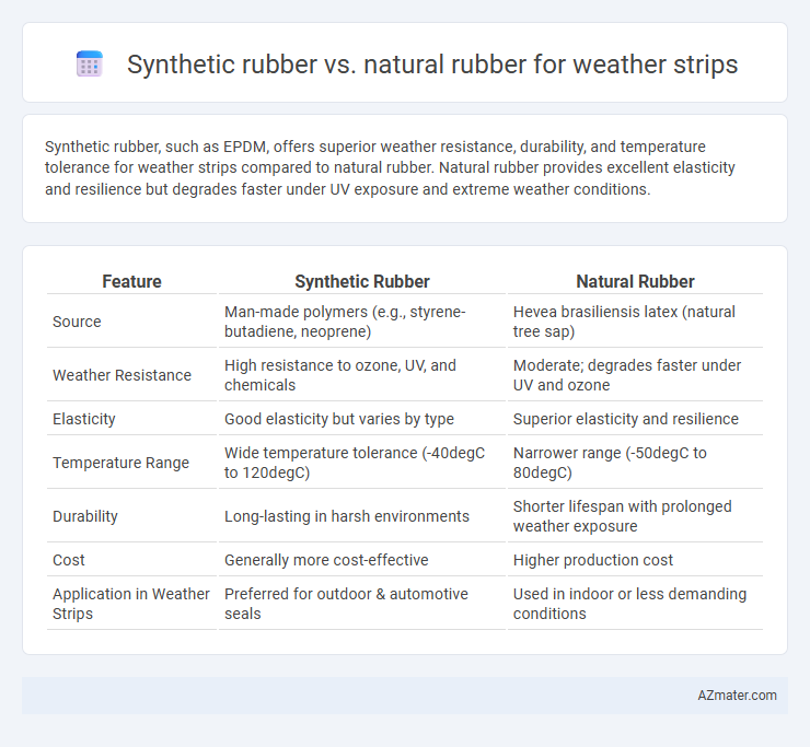 Synthetic rubber vs. natural rubber for weather strips - What is The Difference?