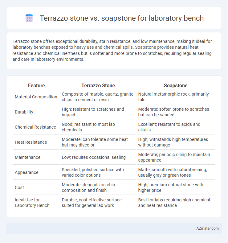 Terrazzo stone vs. soapstone for laboratory bench - What is The Difference?