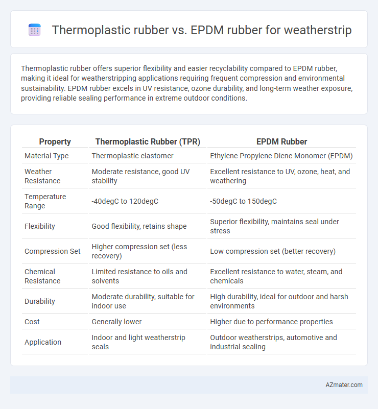 Thermoplastic rubber vs. EPDM rubber for weatherstrip - What is The Difference?