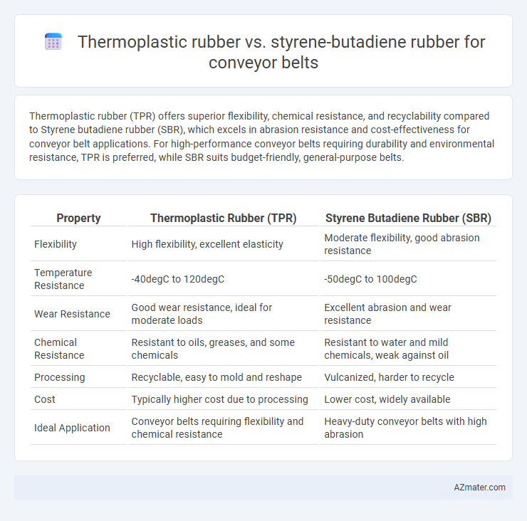 Thermoplastic rubber vs. styrene-butadiene rubber for conveyor belts - What is The Difference?