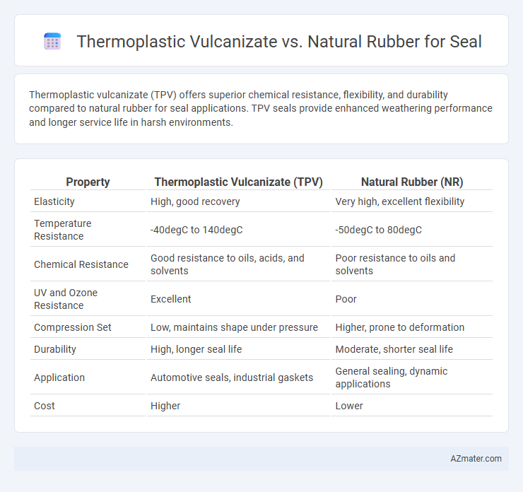 Thermoplastic Vulcanizate vs. Natural Rubber for Seal - What is The Difference?