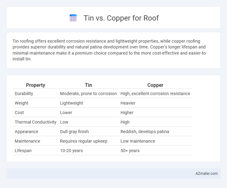 Tin vs. Copper for Roof - What is The Difference?