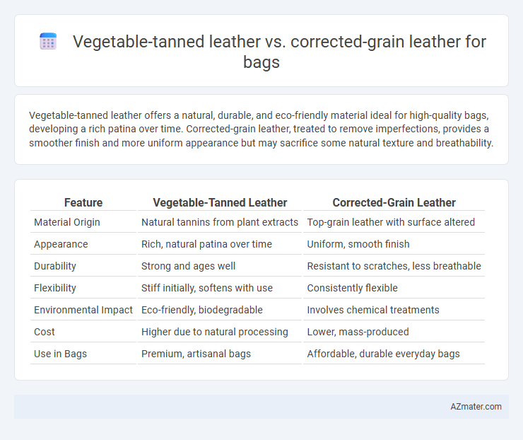 Vegetable-tanned leather vs. corrected-grain leather for bags - What is The Difference?