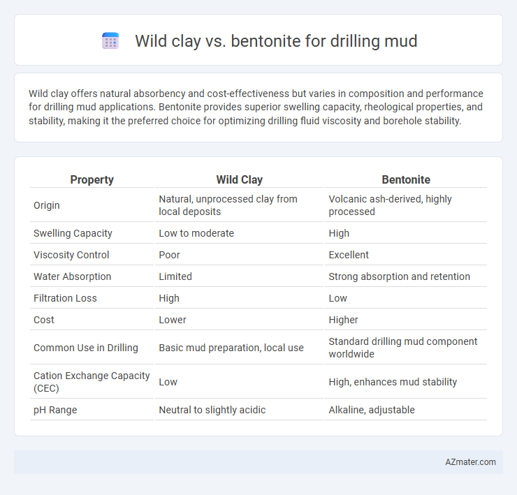 Wild clay vs. bentonite for drilling mud - What is The Difference?