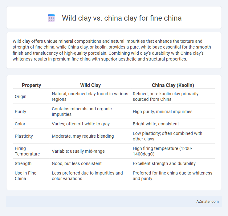 Wild clay vs. china clay for fine china - What is The Difference?