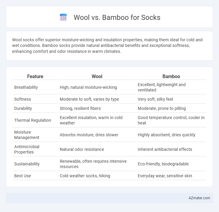 Wool vs. Bamboo for Socks - What is The Difference?