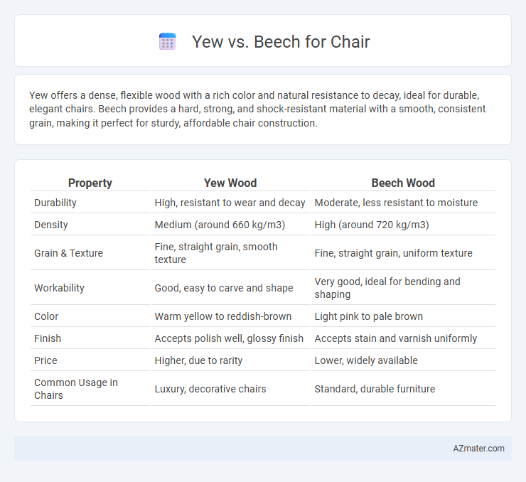 Yew vs. Beech for Chair - What is The Difference?