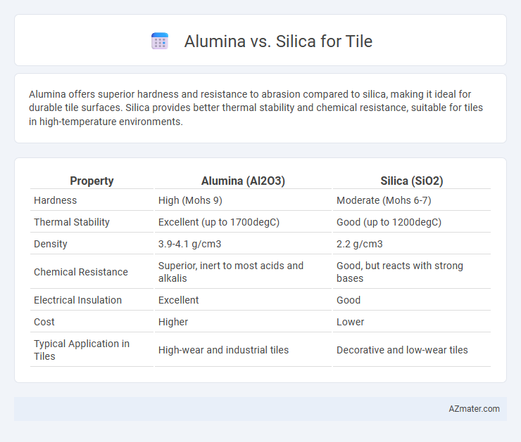 Alumina vs. Silica for Tile - What is The Difference?