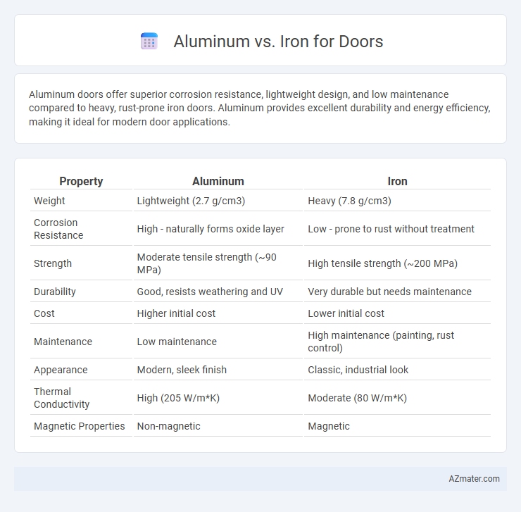 Aluminum vs. Iron for Doors - What is The Difference?