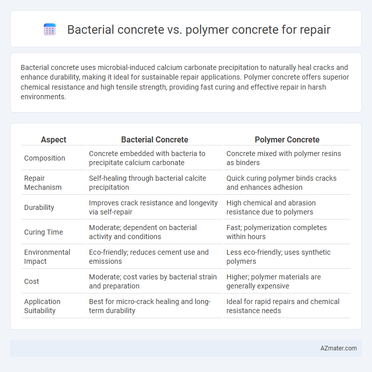 Bacterial concrete vs. polymer concrete for repair - What is The Difference?