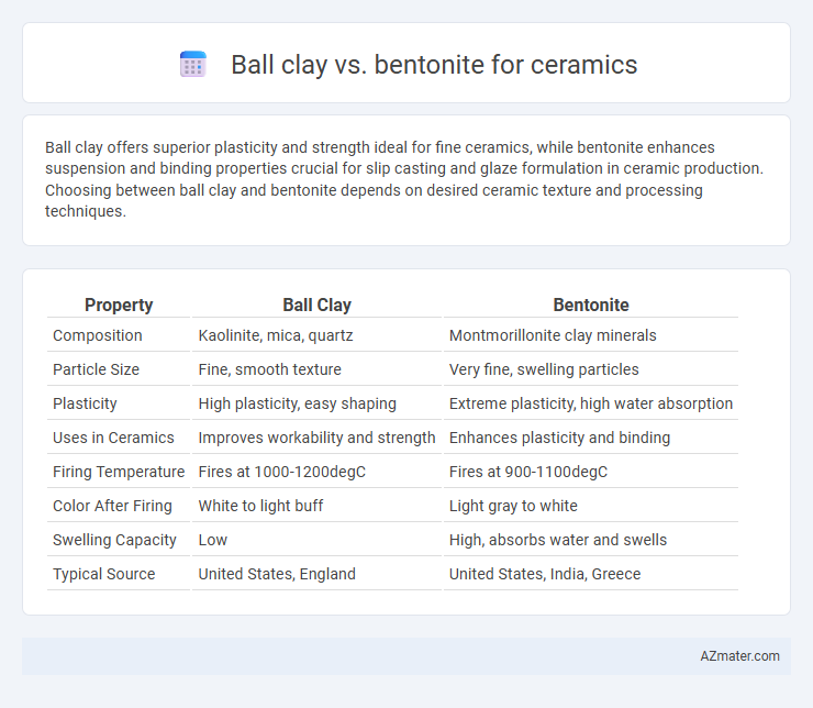 Ball clay vs. bentonite for ceramics - What is The Difference?