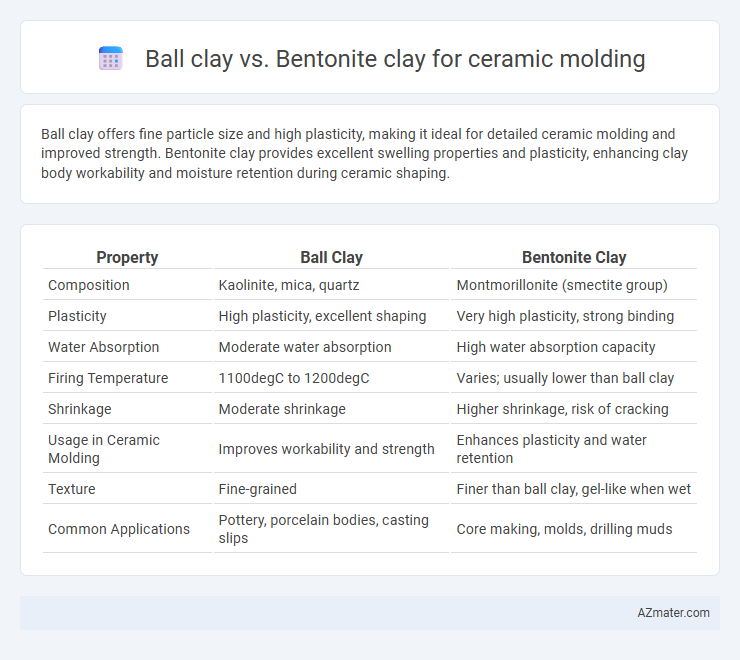 Ball clay vs. Bentonite clay for ceramic molding - What is The Difference?