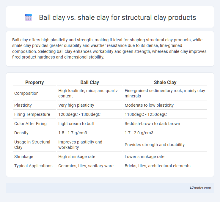 Ball clay vs. shale clay for structural clay products - What is The Difference?