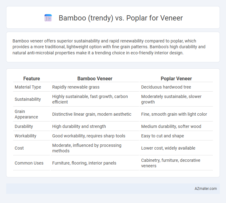 Bamboo (trendy) vs. Poplar for Veneer - What is The Difference?