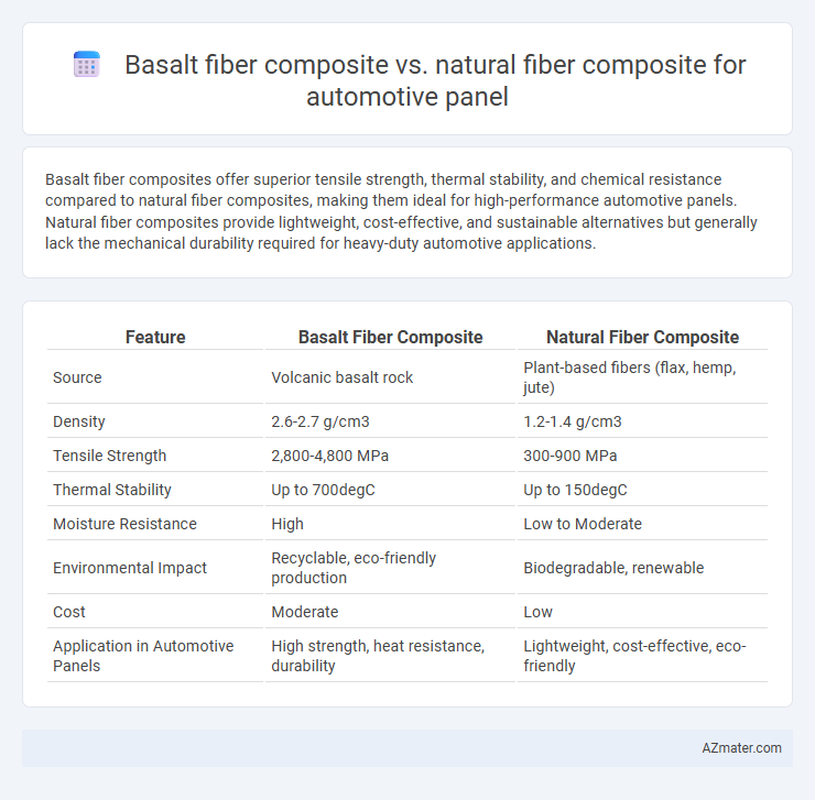 Basalt fiber composite vs. natural fiber composite for automotive panel - What is The Difference?