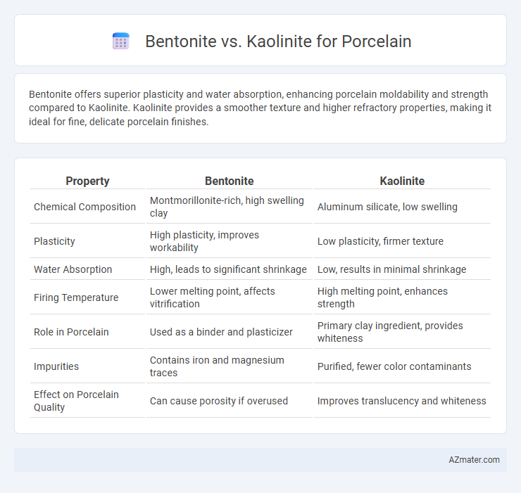 Bentonite vs. Kaolinite for Porcelain - What is The Difference?