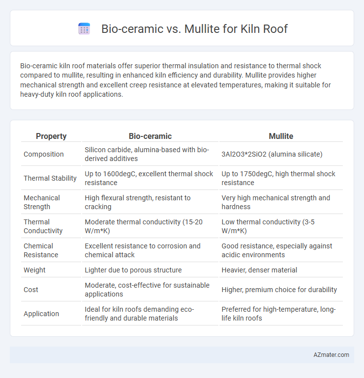 Bio-ceramic vs. Mullite for Kiln Roof - What is The Difference?