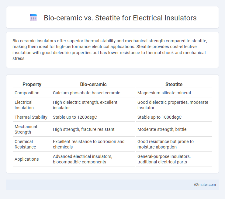 Bio-ceramic vs. Steatite for Electrical Insulators - What is The Difference?