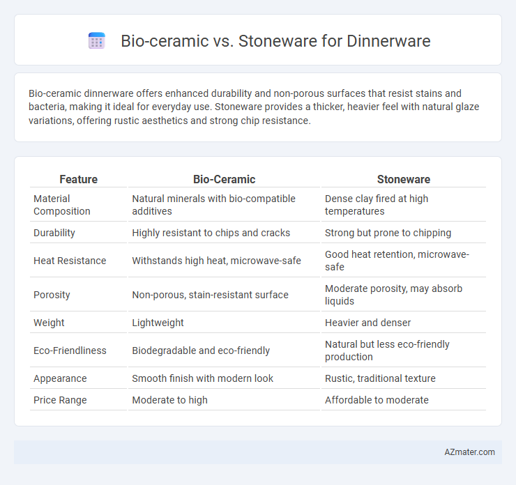 Bio-ceramic vs. Stoneware for Dinnerware - What is The Difference?