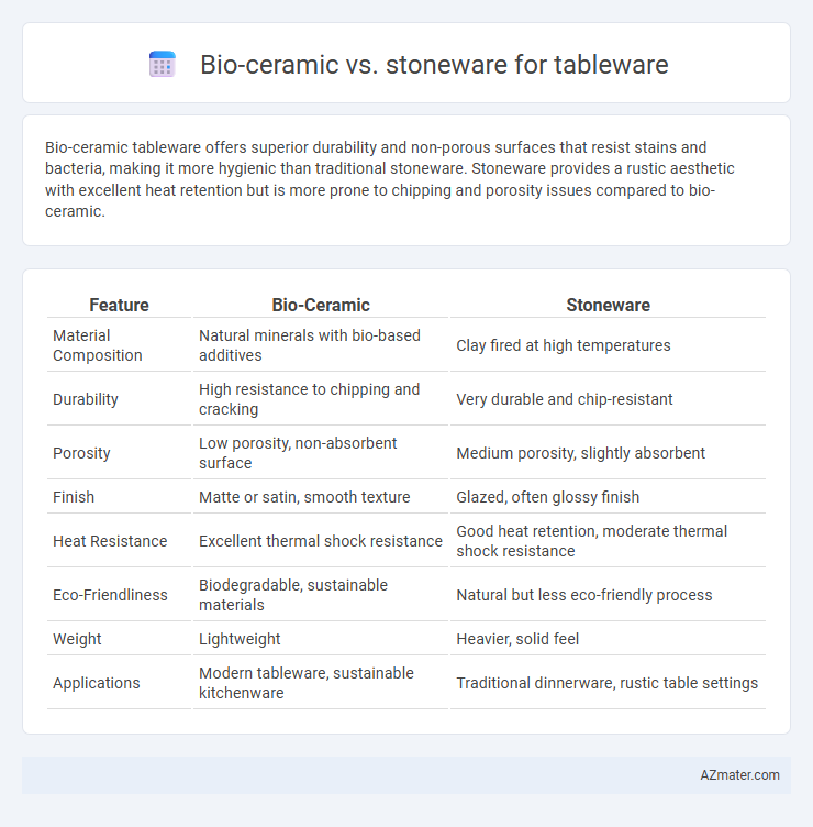 Bio-ceramic vs. stoneware for tableware - What is The Difference?