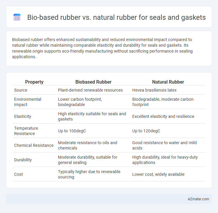 Bio-based rubber vs. natural rubber for seals and gaskets - What is The Difference?