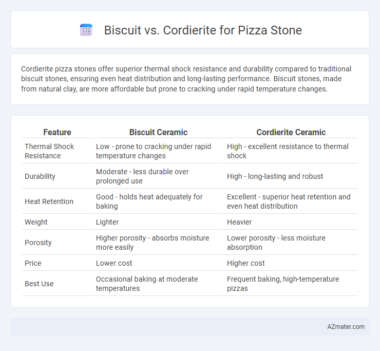 Biscuit vs. Cordierite for Pizza Stone - What is The Difference?