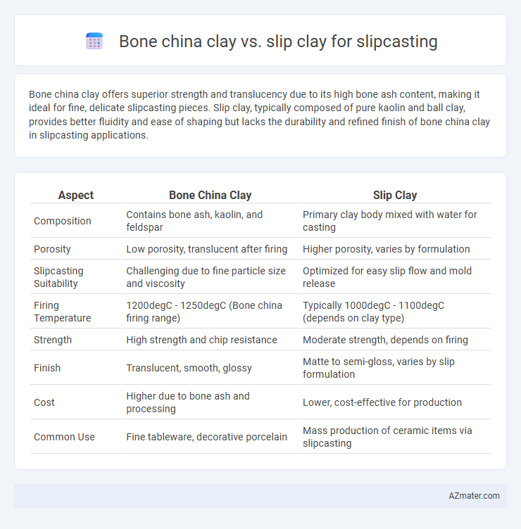 Bone china clay vs. slip clay for slipcasting - What is The Difference?