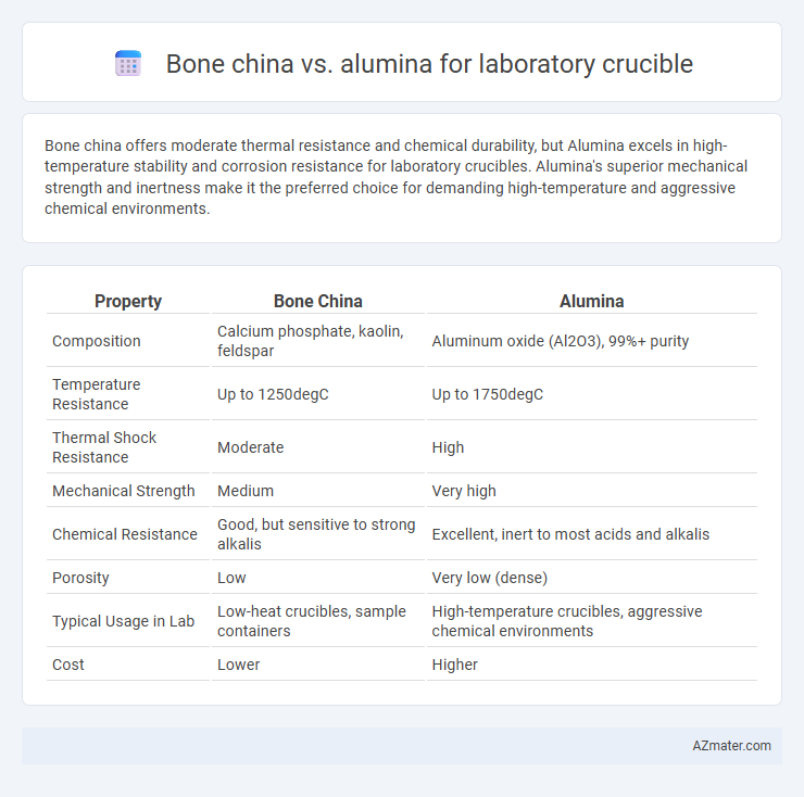 Bone china vs. alumina for laboratory crucible - What is The Difference?