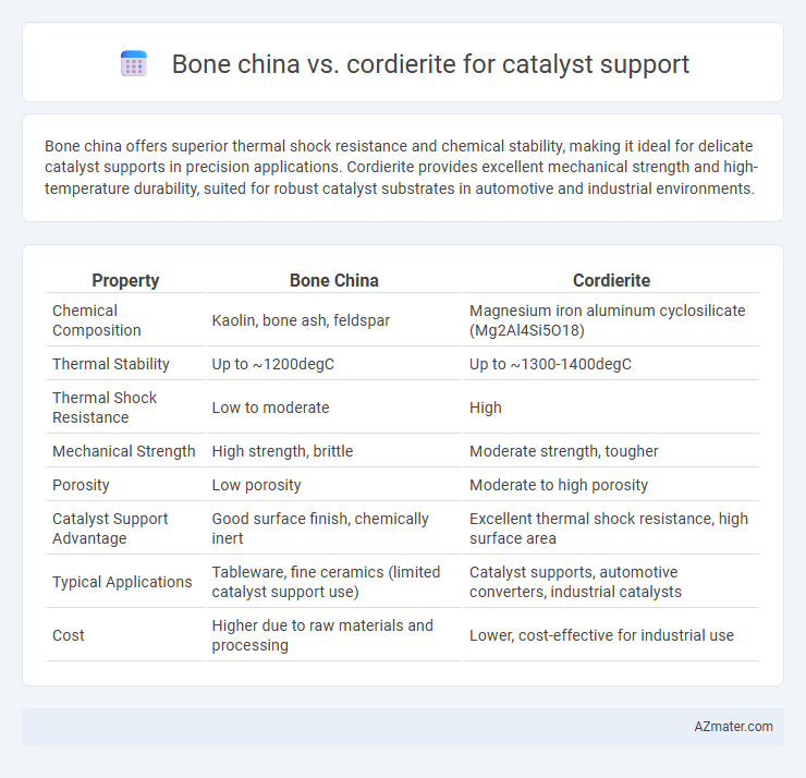 Bone china vs. cordierite for catalyst support - What is The Difference?