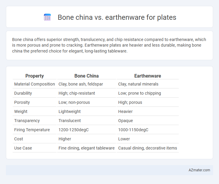 Bone china vs. earthenware for plates - What is The Difference?