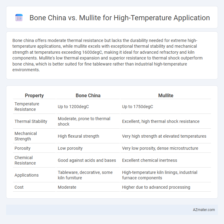 Bone China vs. Mullite for High-Temperature Application - What is The Difference?