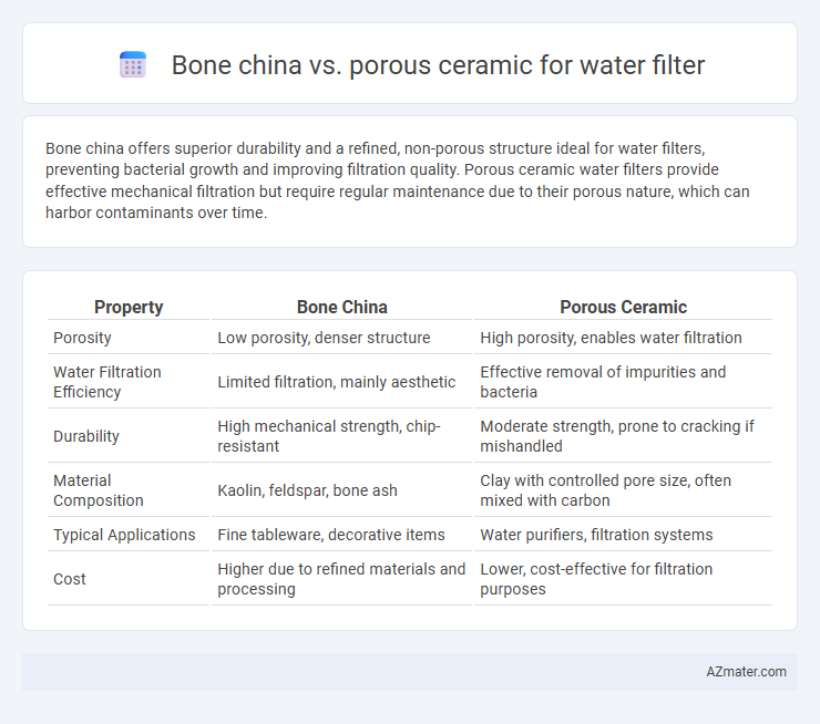 Bone china vs. porous ceramic for water filter - What is The Difference?