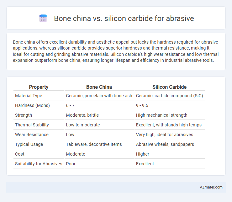 Bone china vs. silicon carbide for abrasive - What is The Difference?