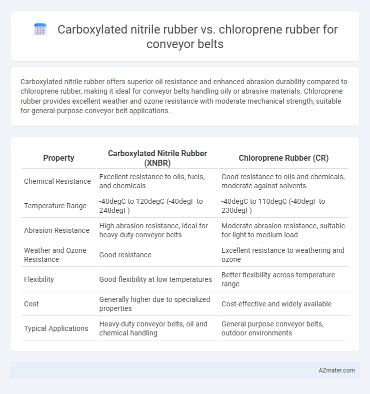 Carboxylated nitrile rubber vs. chloroprene rubber for conveyor belts - What is The Difference?