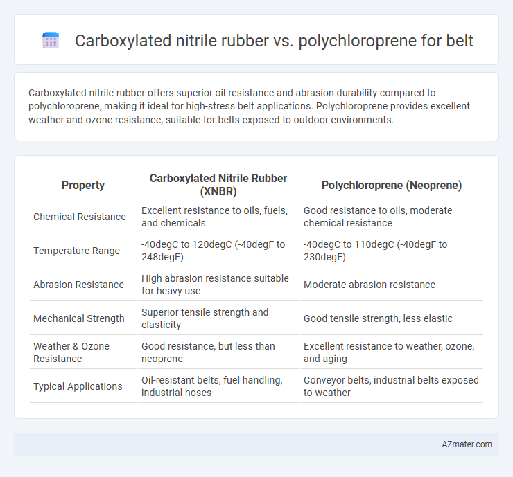 Carboxylated nitrile rubber vs. polychloroprene for belt - What is The Difference?