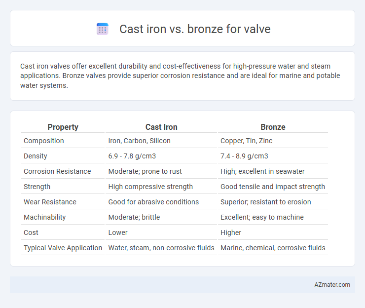 Cast iron vs. bronze for valve - What is The Difference?