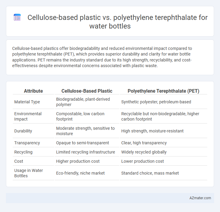 Cellulose-based plastic vs. polyethylene terephthalate for water bottles - What is The Difference?